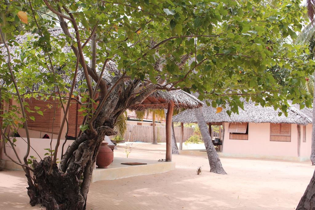 Cocodance Kitesurfing Resort Kalpitiya Buitenkant foto