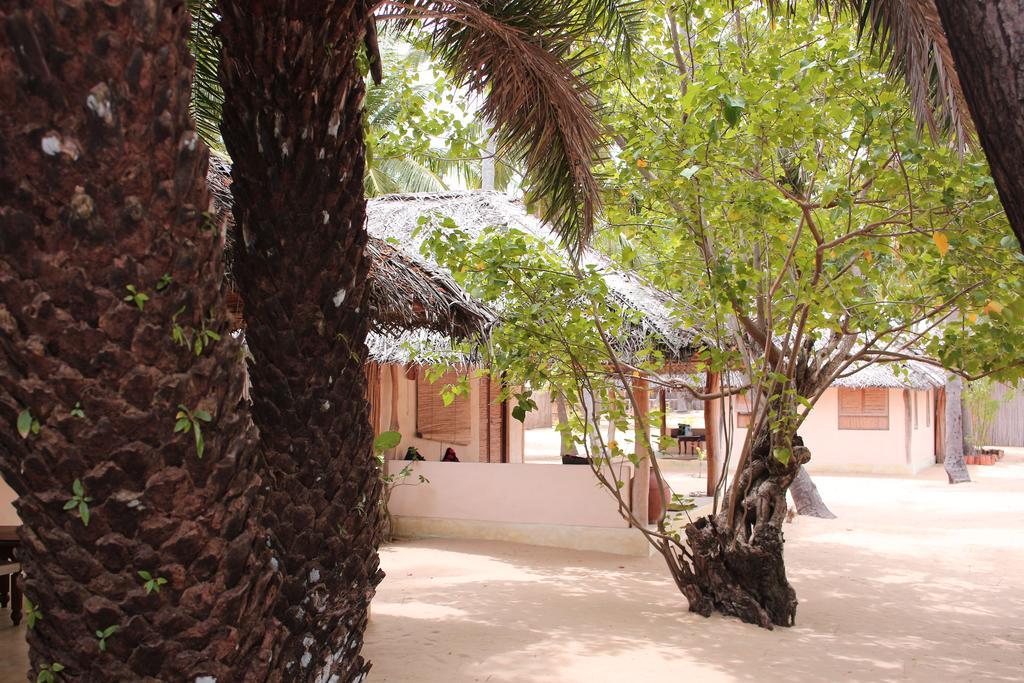 Cocodance Kitesurfing Resort Kalpitiya Buitenkant foto