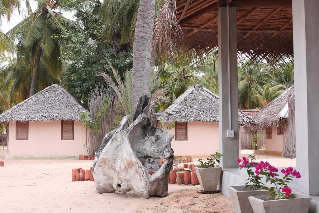 Cocodance Kitesurfing Resort Kalpitiya Buitenkant foto